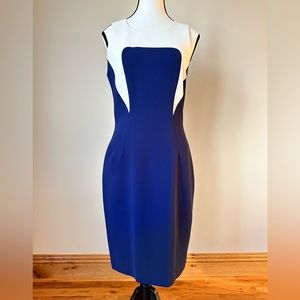 Rachel Roy Size 4 Sheath Dress